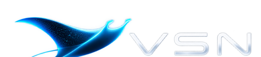 VSN